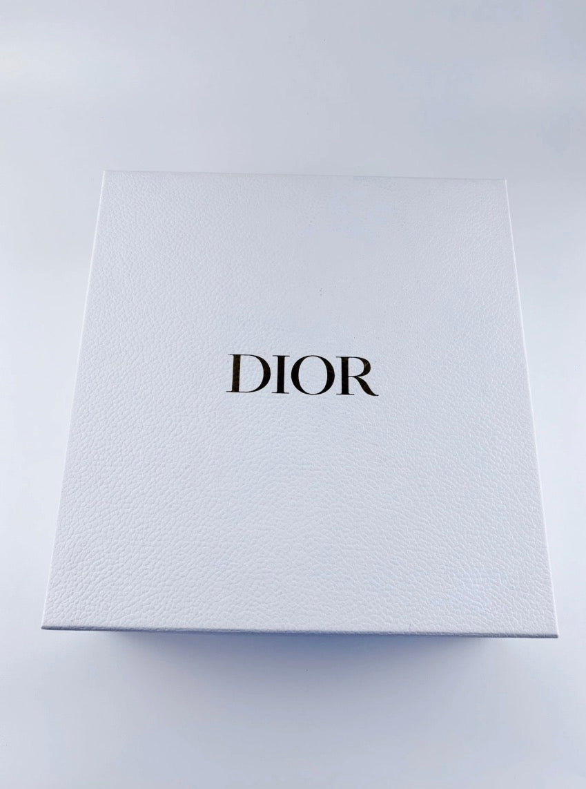 Sneakers Dior D-Connect Argenté et Blanche Taille 35