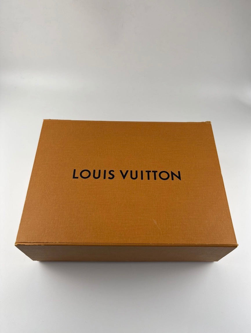 Louis Vuitton Boots Désert Monogramme Noir Taille 38